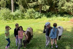 1_2a083676-71a5-4eae-bd92-d8686402be1d