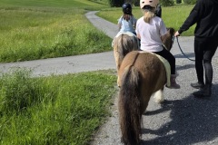 069e98a6-f32a-4860-9e40-4a2fc7036149