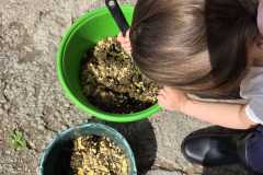 43904560-dc09-46ba-9907-6b9b60a73d5a