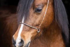 1ee6fc8b-0f14-4b2c-92fd-327071d4ad99