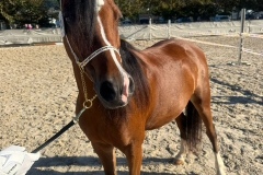 28ae1478-1f8d-4e0a-b7ef-64b0c62fcafa