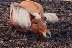 1_52865585-700b-4d6e-b535-a24d9b89dbf9