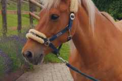 1_af01eb5e-2d9d-4e44-98bf-e7a6a048d216