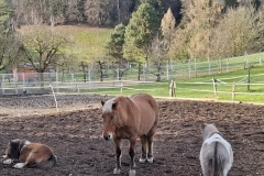 32a17c8e-b583-4c1e-adba-2c4ae1fd8178