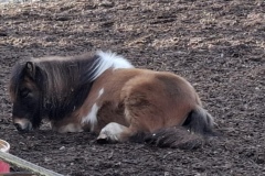 3a3e15dc-fc11-41f3-9c27-7b931031a540