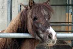 3f6c2255-49ae-4952-9fb7-326f18b2ab0f