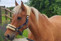 42da307d-06fc-4b98-ae4d-3396fde8a73b