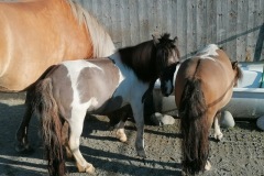 4b1623c7-27c1-459f-8729-dbe55518bc03