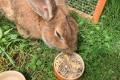 9556b5de-ecfb-4184-8582-020de82124f0