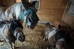 96b17408-15a5-4905-8d54-8d466544dbfb