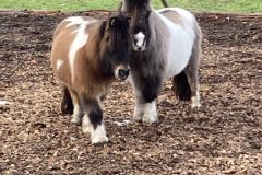 Foto-Gofound.me_-scaled