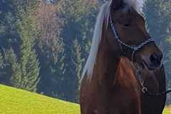 edb09609-069a-4b21-be17-a14005de2603