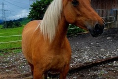 f448408f-ab13-43db-bad9-6c0f46de0c20