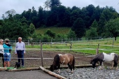 b37b58f1-6a8e-48b5-8c5a-cd5a97525b98-1