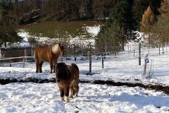 IMG_3988-rotated