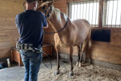 Foto31-scaled